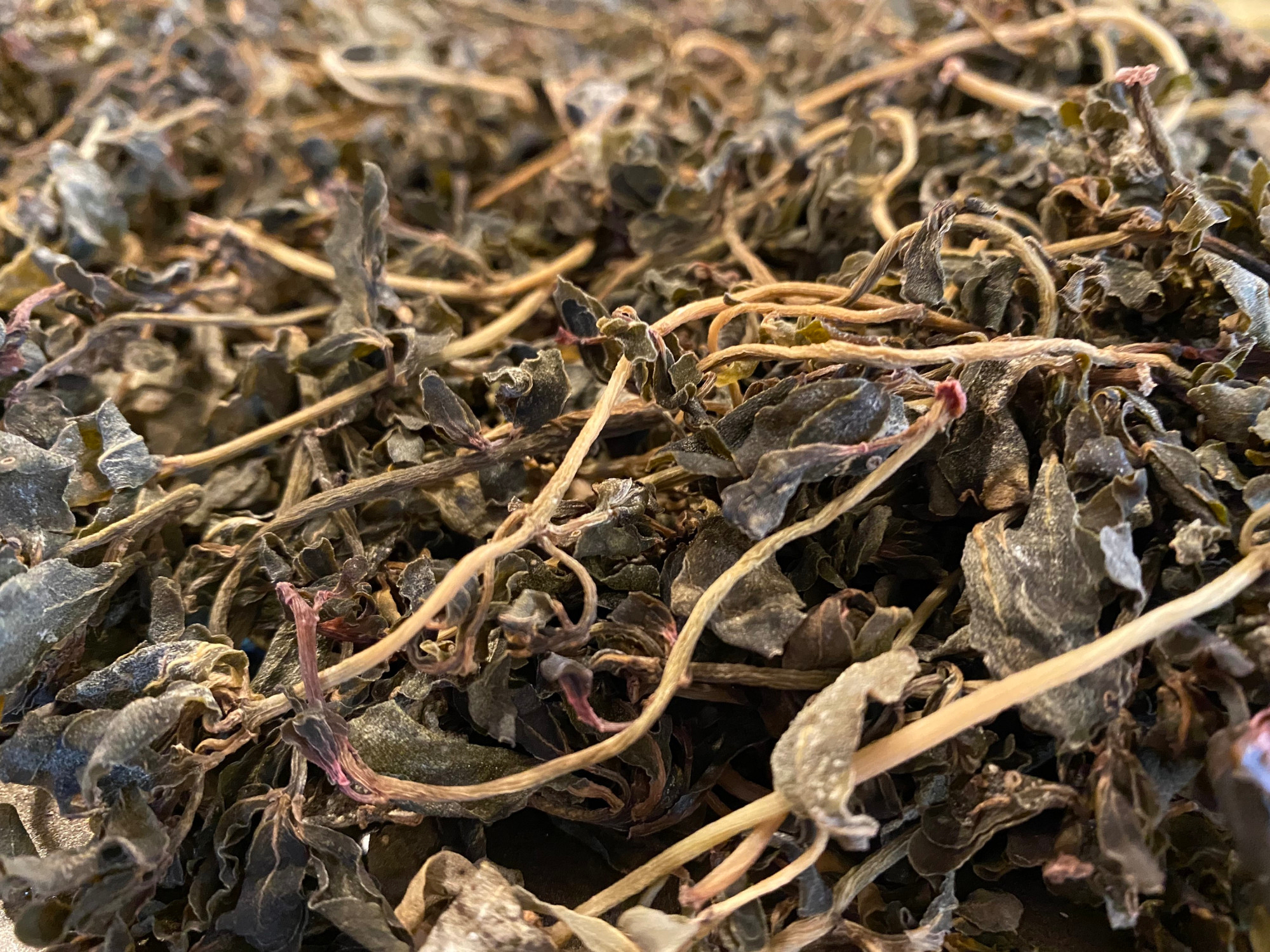 春天遇见这野菜别错过,一次摘30斤,晒干存起来,冬天蒸肉特别香