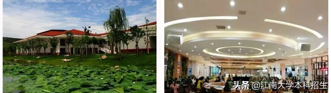 一年四季不重样，4个食堂300多种美食，江苏这所大学堪称“人间宝藏”！
