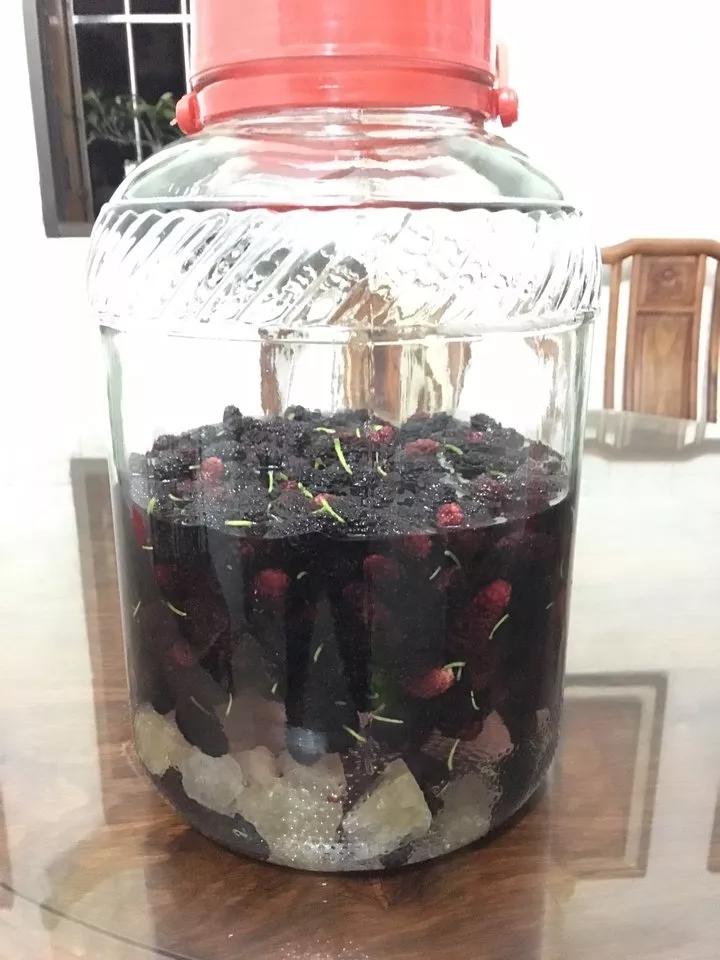桑葚泡酒做法