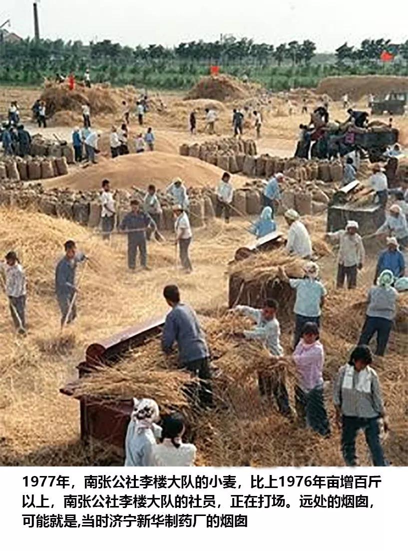 山东省济宁市西郊的李楼和鲁抗医药的悠悠岁月