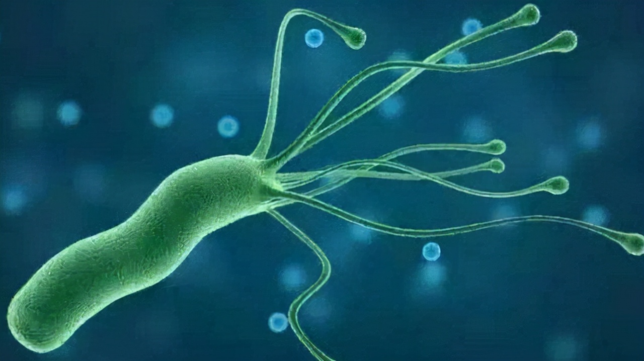 经常肚子胀是怎么回事？或和幽门螺杆菌有关，别不在意