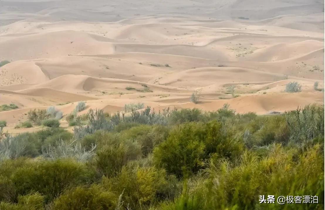 中国发明高效率“固沙车”，一天可治理40亩沙漠，已在甘肃使用