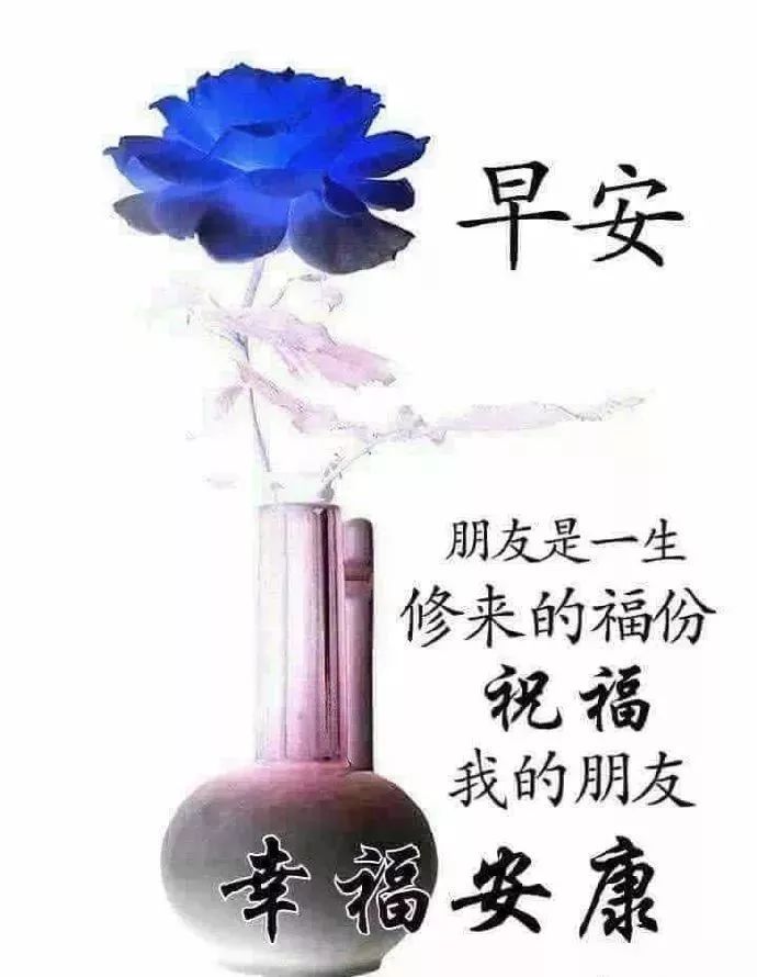 今日早上好祝福语大全 大家早上好图片大全 生命不求富贵，但求平安图片