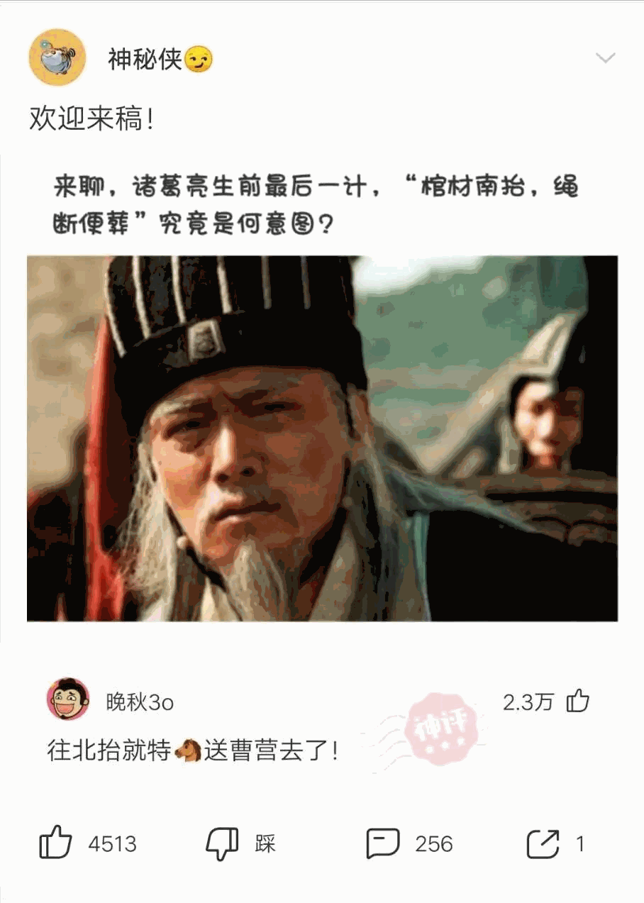 铲屎官今天又给我们做了什么好吃的呀