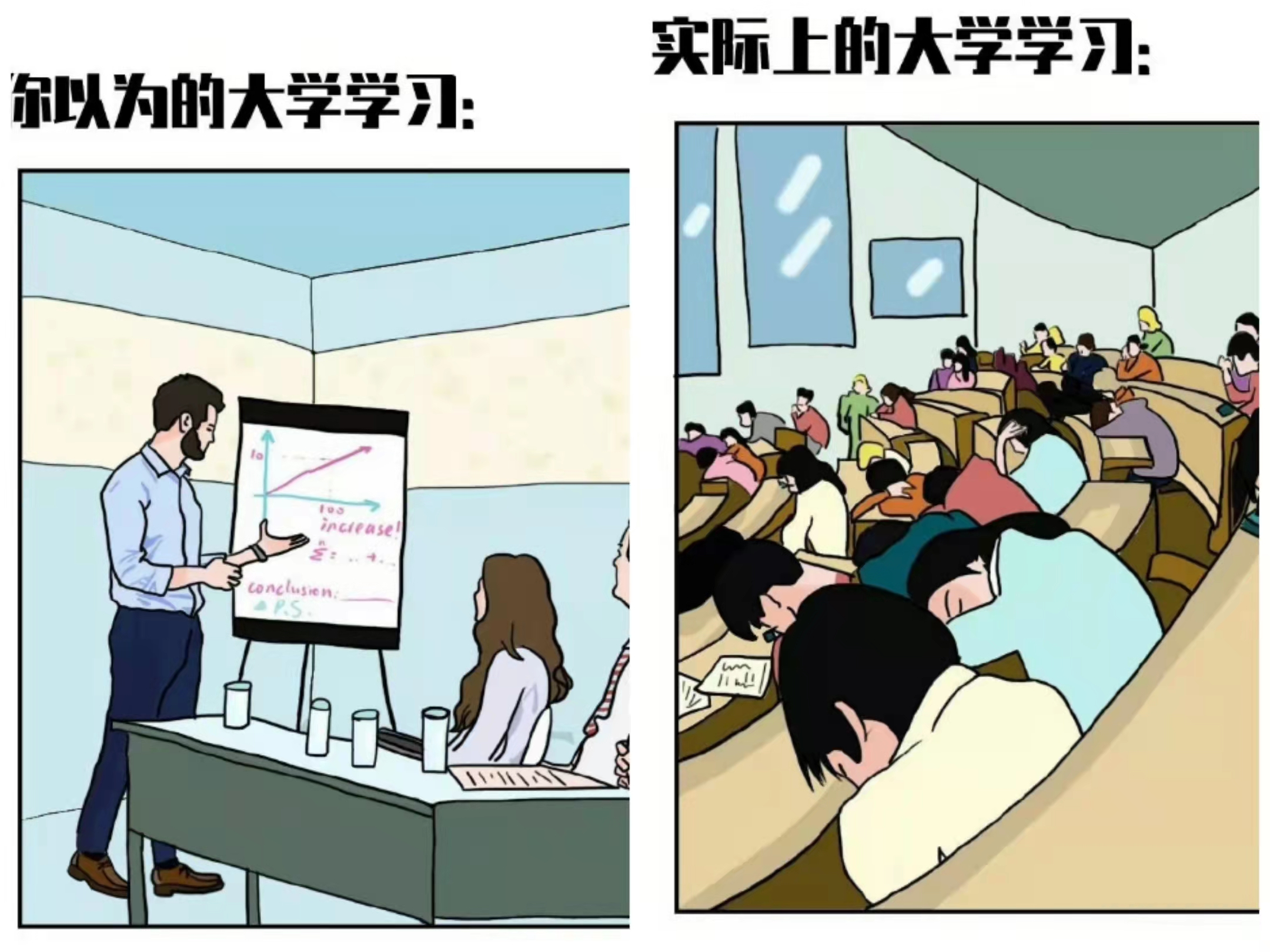 理想中的大学和实际上的大学，差得不止一点点，看完内心五味杂陈