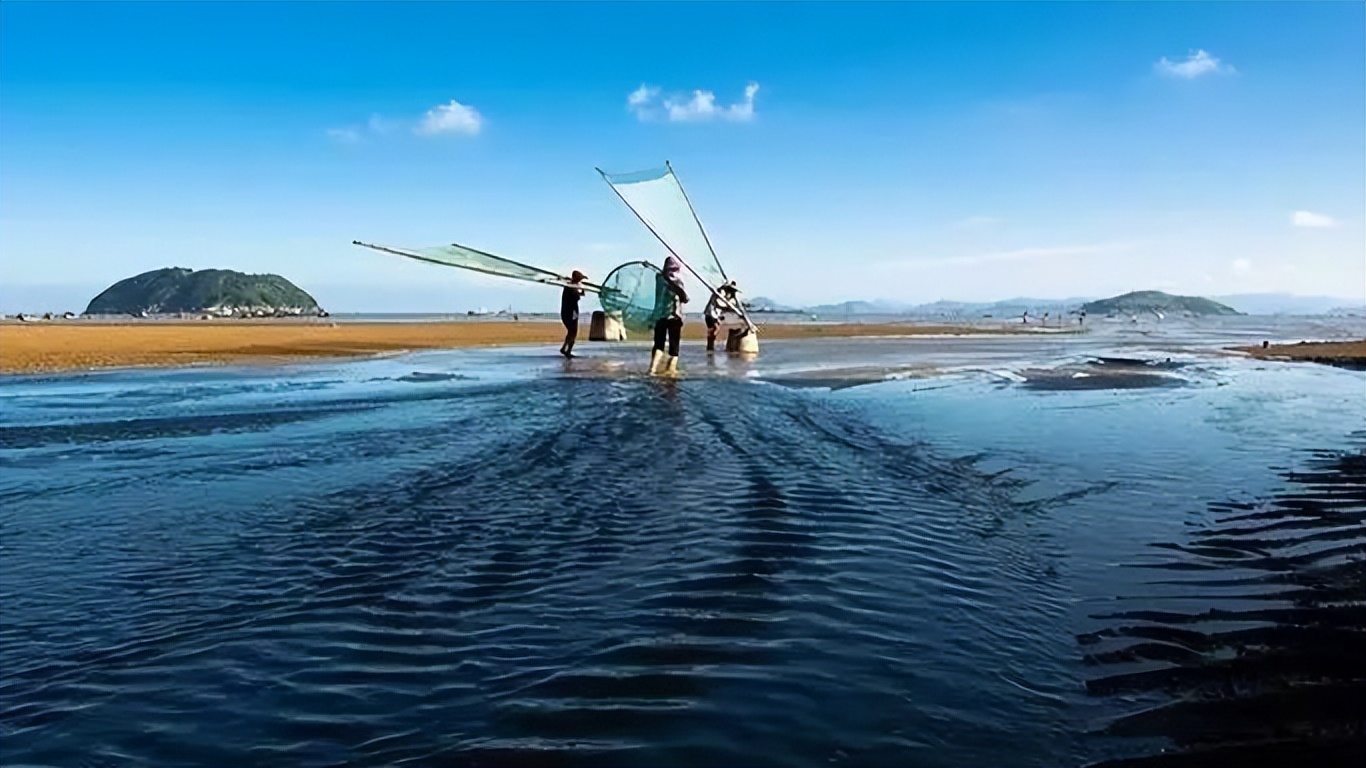 渔场日常-重庆鲤享锦鲤养殖
