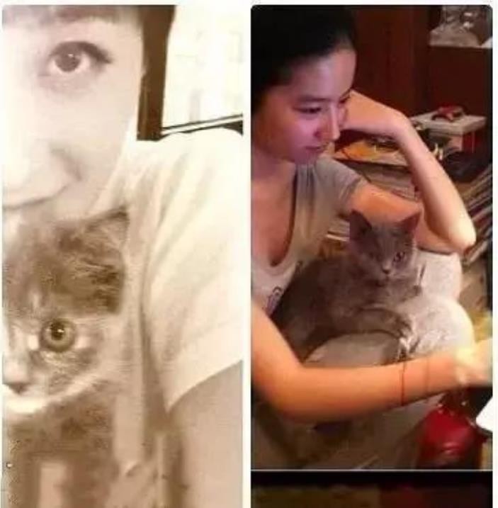 "恋情隐秘"刘亦菲：跟曾轶可感情胜过闺蜜，却因公司插手无果而终