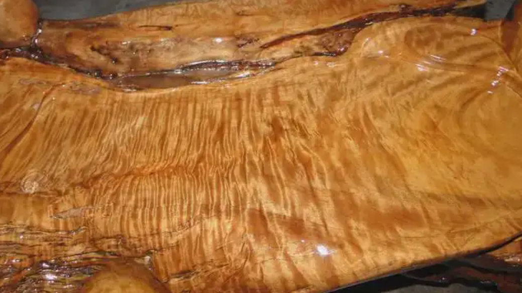 最贵木材排名价格(一棵树值2) - 价格百科