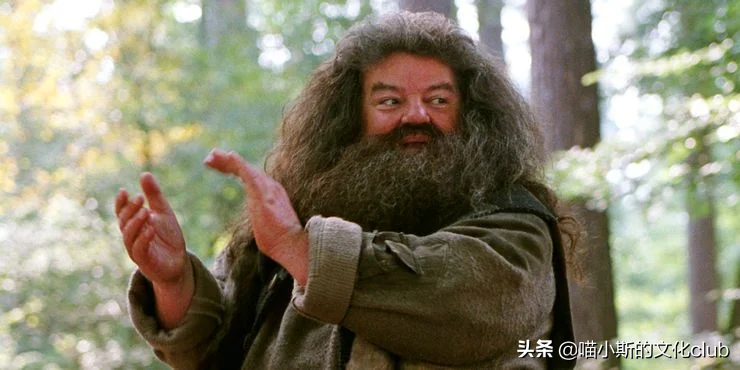 《哈利·波特》：按照学习难度，我们来给霍格沃茨的课程排个名吧