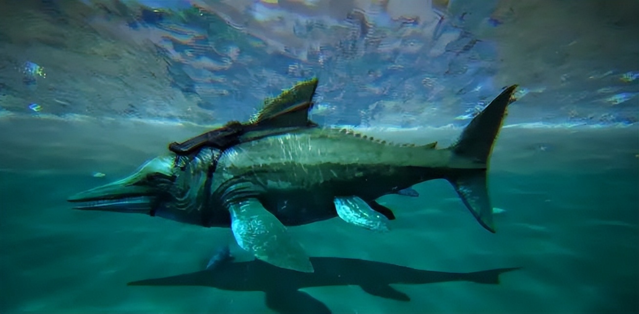 《方舟:生存进化》必驯生物攻略:孤岛地图