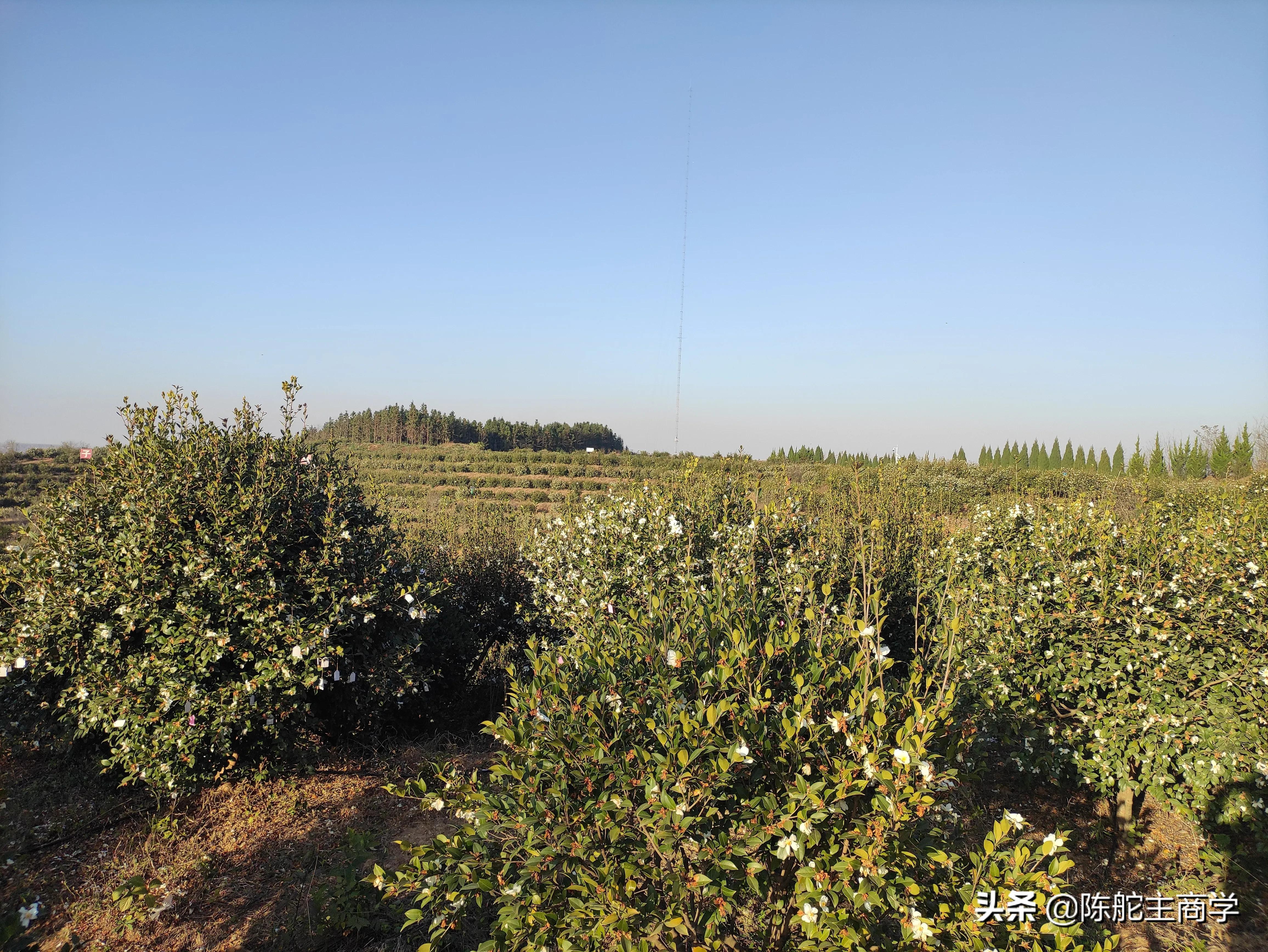 为什么你做自媒体一天100块都挣不到？真相来了