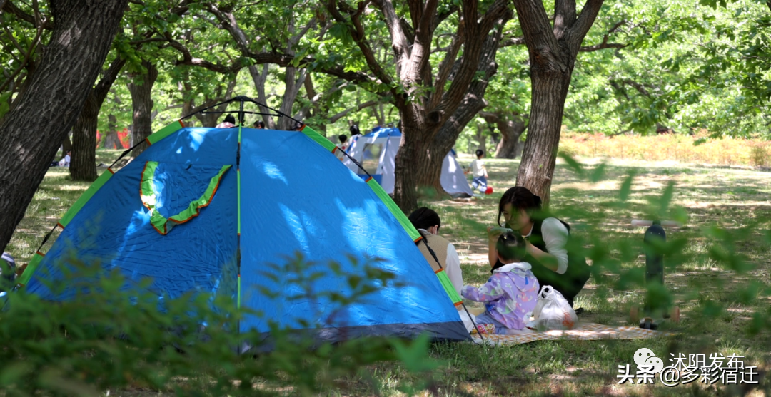 沭阳新河镇双荡村入选全省乡村旅游重点村