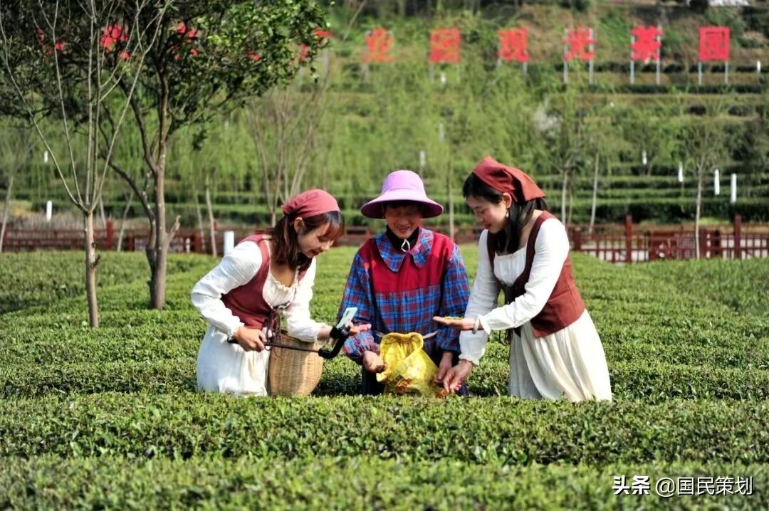 专家：农民不种地农业才能现代化？如此谬论，不接地气，不合时宜