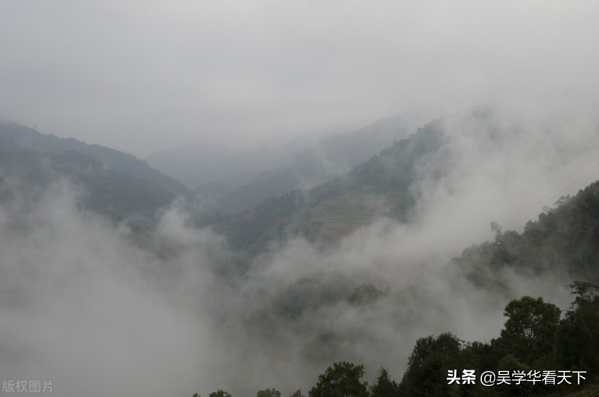 请佛到家的危害(解读哀牢山事件的死因，历史上发生过两次，很可能遭遇病毒和瘴气)