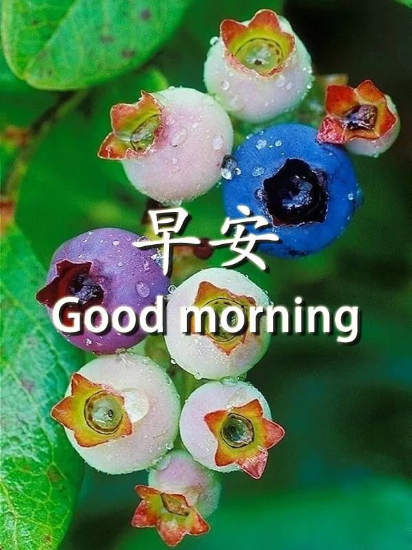 新的一天早上好图片 ,美好时光，生活愉快 祝大家身体健康,一帆风顺图片