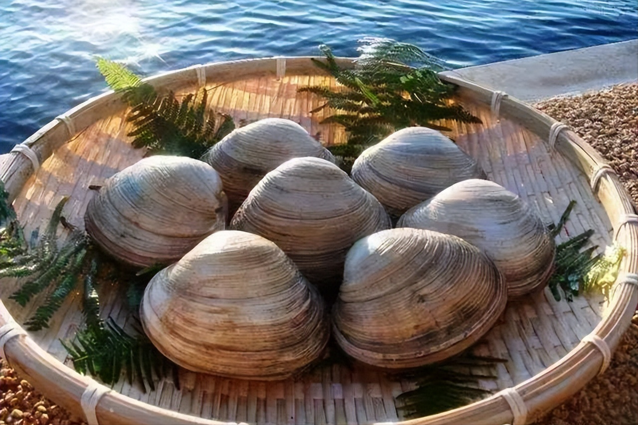石房蛤毒素中毒解毒(石房蛤毒素是海洋生物中毒性最强的麻痹性毒素之