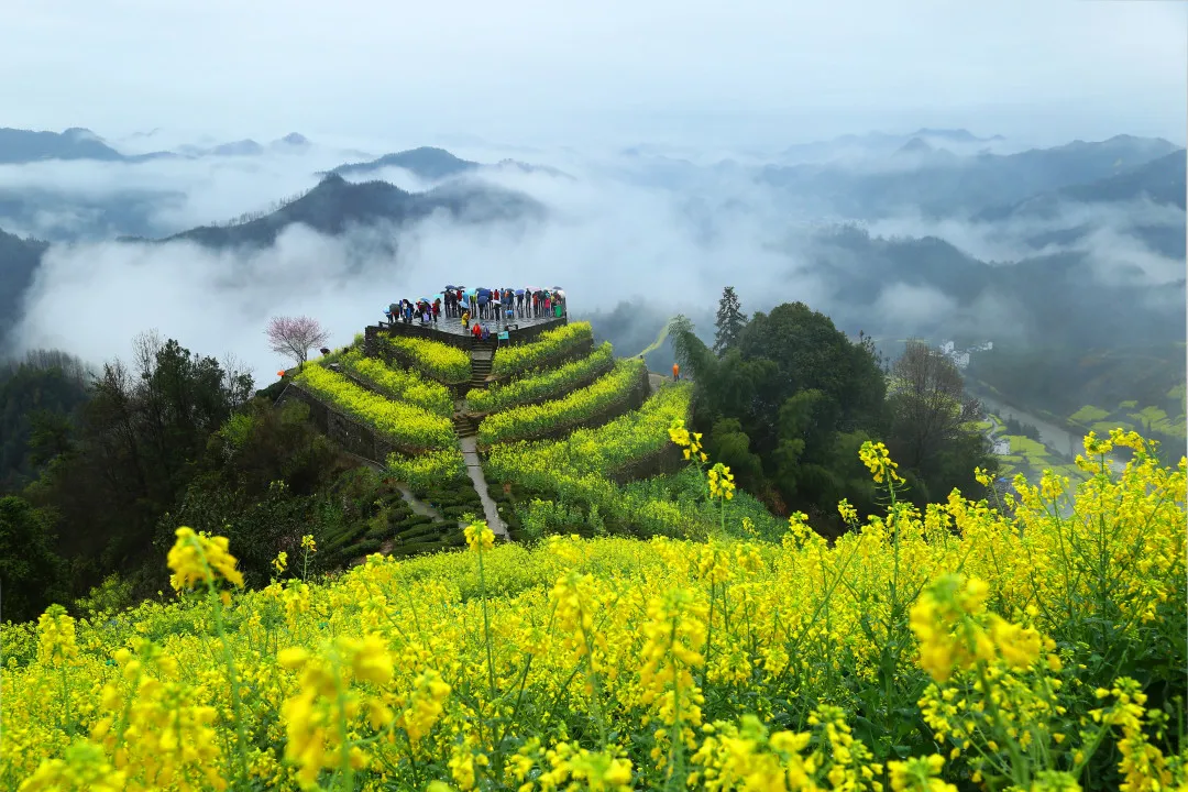 2022,一起领略黄山迤逦风光!