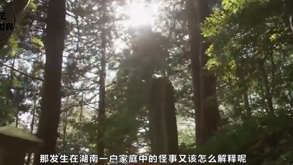 1976年长沙一女孩病亡，村民亲手将她埋葬，29年后在四川“复活”