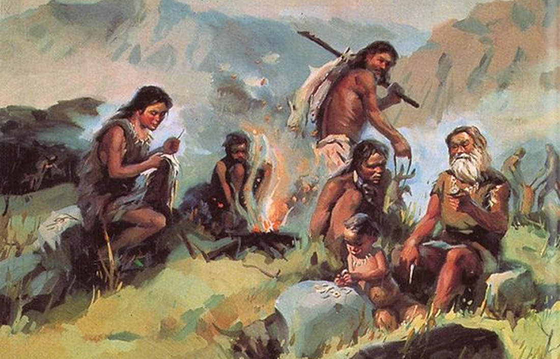 同人类共演化，揭开人类褪毛、穿衣之谜的虱子，为何很少看到了？