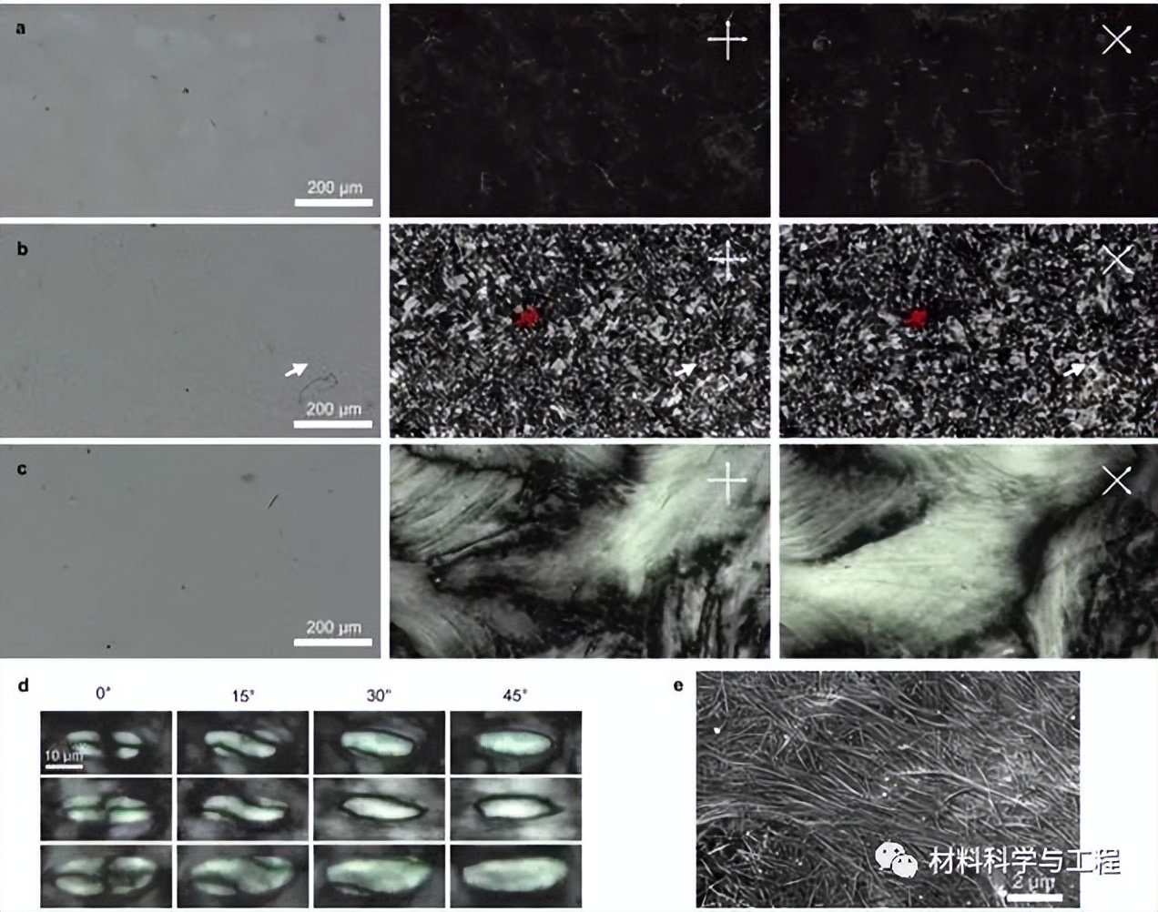 《Nature》子刊：纯氮化硼纳米管的液晶及其有序宏观材料的组装