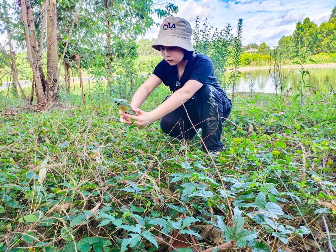 黄甲小学开展“人人参与科技节，我的科技节我做主”科技节活动