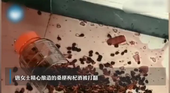 精心酿造的桑葚枸杞酒被打翻了，鸡、鸭吃了泡酒桑葚后，一醉不起