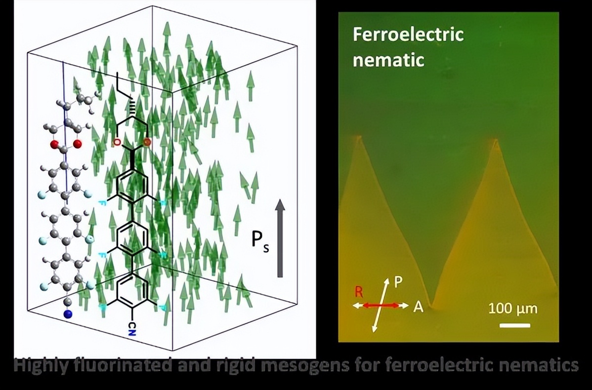 华南理工黄明俊、谢晓晨团队在铁电材料研究获系列进展