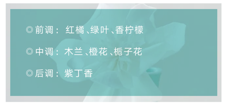 送你木兰花一朵，赏春、等雨、嗅花香