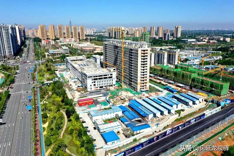 占地157亩,设置床位1000张!龙泉驿区中医医院迁建项目最新进展来啦!