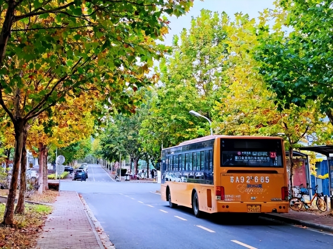 拥有顶尖学科，创多项“中国第一”！高考倒计时30天，江苏这所名校等你赴约