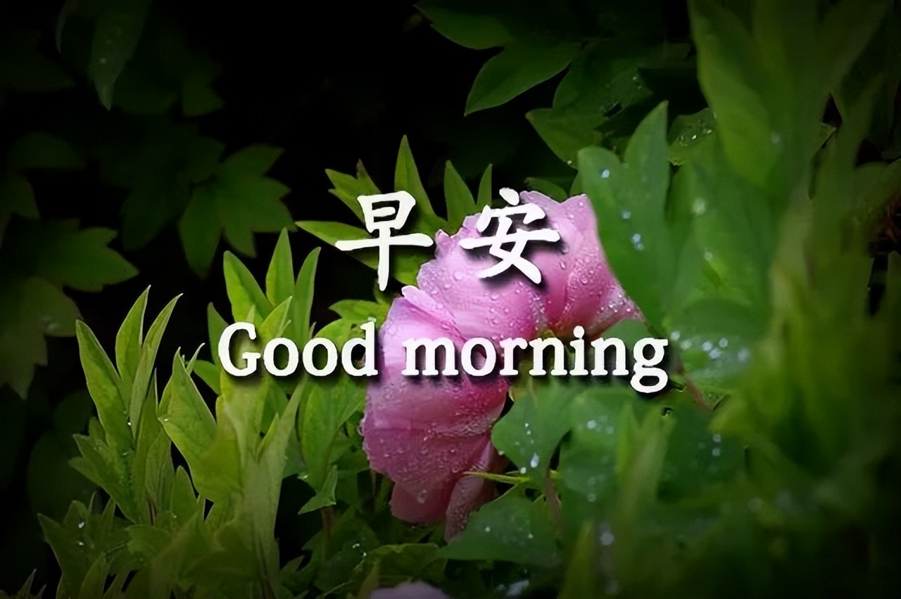 早上好问候，吉祥如意跟你走，幸福美满常相守，幸福满满图片