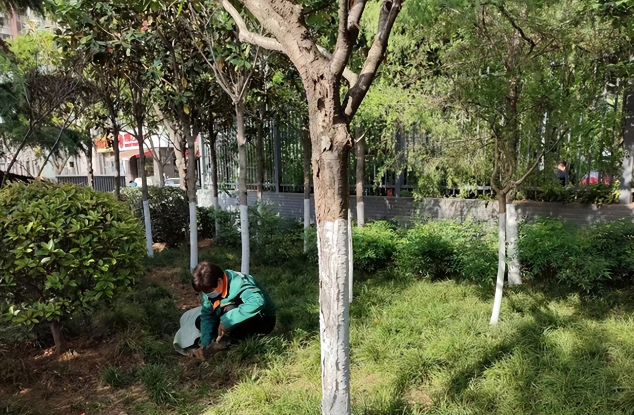 δ�롰�ǹ�����ִ�ż��� �ػ�����һ��