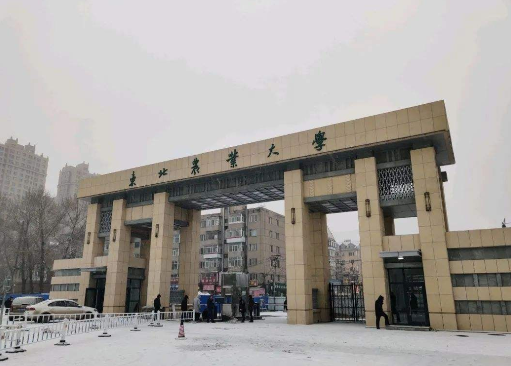 适合学生“捡漏”的211名校，聪明人会这样报考，别傻傻的不知道