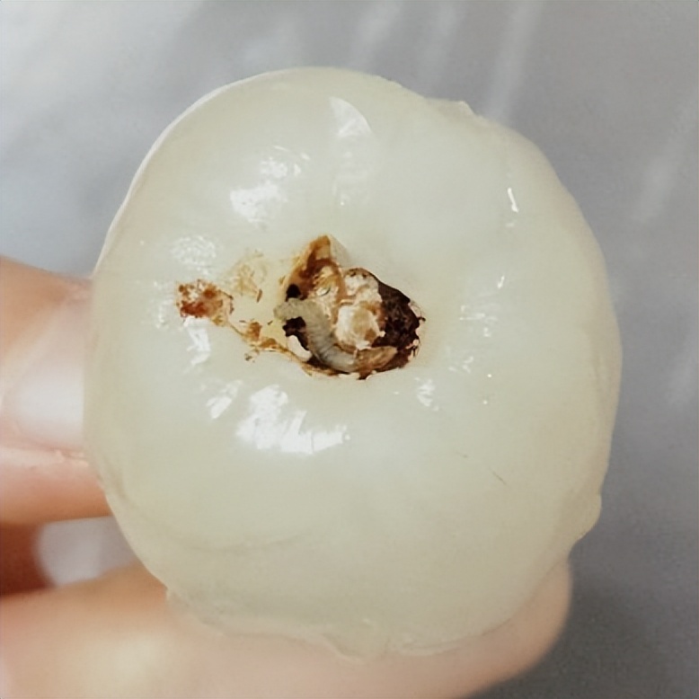 流行东莞-popdg.com