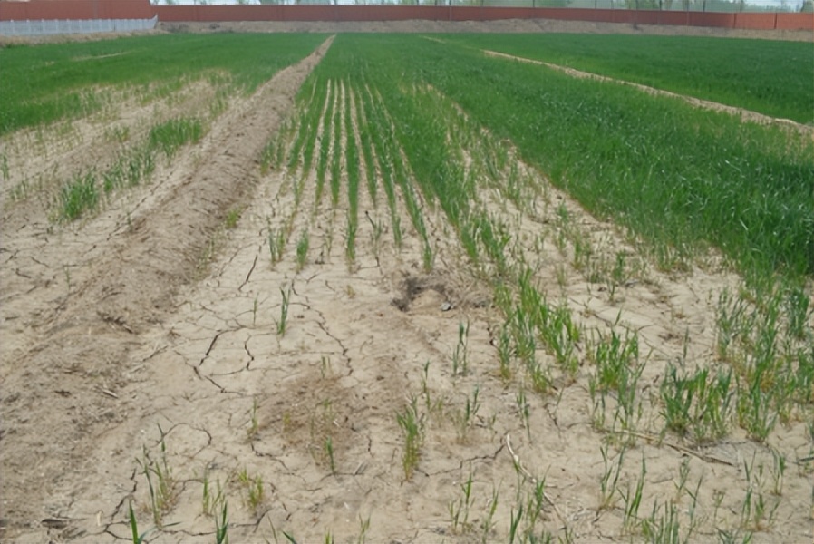 重大突破：全球第一组以中国企业名称命名的生物菌种诞生