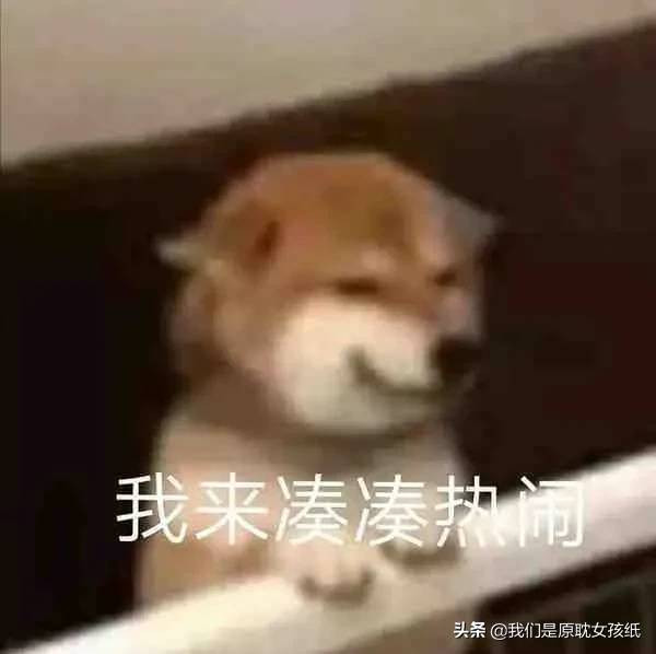 耽美小说NO·27耳雅大大作品合集（五）