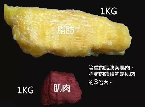 图片[3]-[健身]减肥避开2个误区，坚持4个方法，2个月体脂率下降4%-PPOBM时尚
