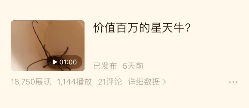 关于要不要参加《中视频计划》随笔 新手必读