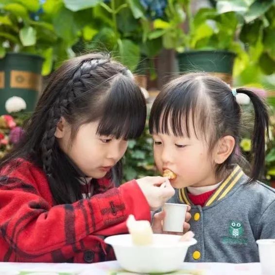 汉服体验、美食大赏、亲近野生动物……这样的春日活动真让人羡慕