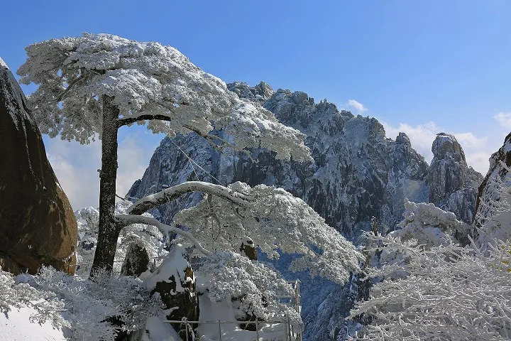 2022,一起领略黄山迤逦风光!