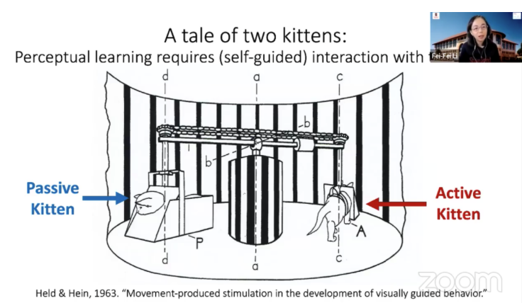 李飞飞眼里的“AI 北极星”：什么是具身智能？