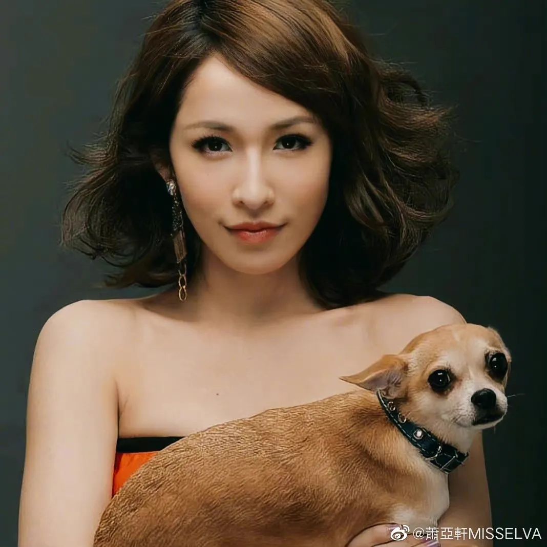 娜扎，浪姐，杨祐宁，张馨予，杜淳