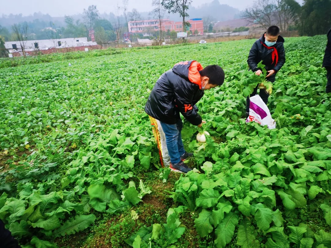 「城南小学•德育工作」小基地大收获 劳动实践快乐多