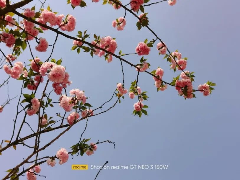 真我GT Neo3测评：以电竞标准打造的次旗舰