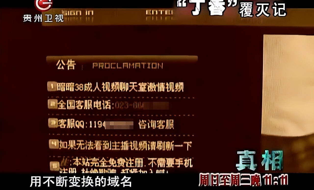 色情网站“丁香”覆灭记：7.3亿的浏览量背后，是谁在操控盈利？