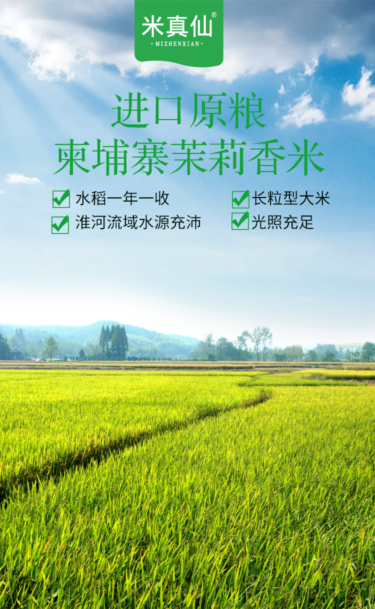 “米真仙”每一粒米都是金品之選