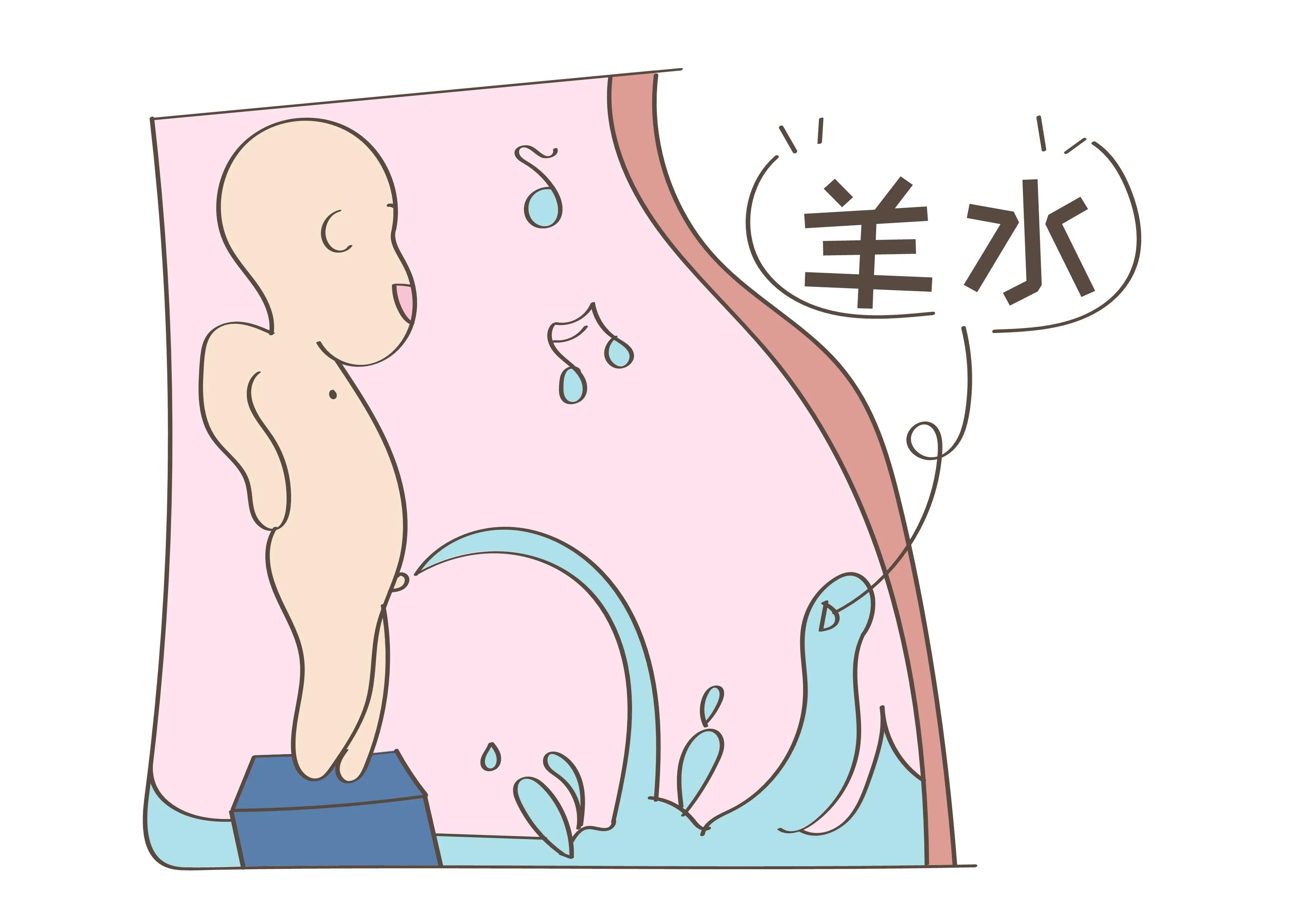 孕期哪三个时段多喝水羊水更清澈(孕期这四个时间段喝水，羊水会更清澈)