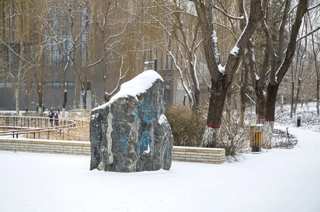 开年瑞雪，师大校园寂静如诗