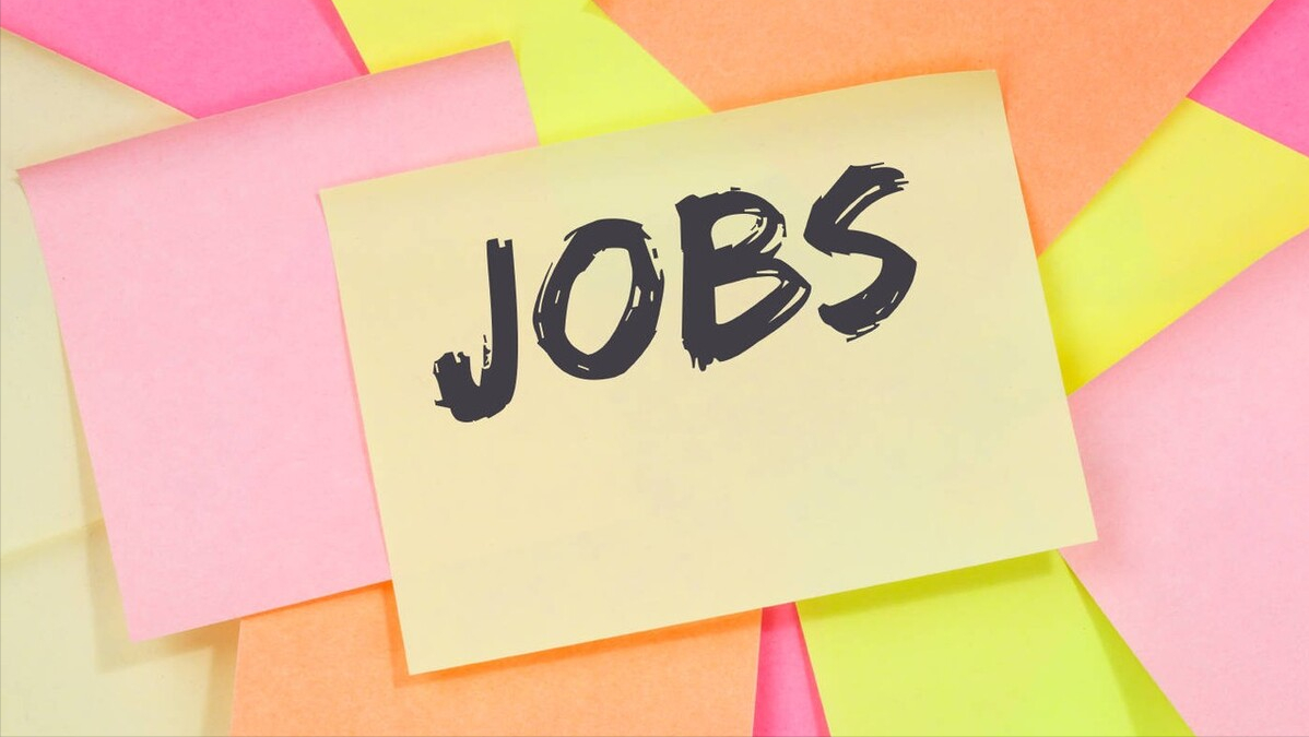 “带编入伍”！大学生群体就业的“捷径”，家长希望全国推广