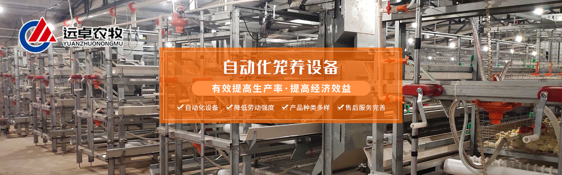 怎么讓蛋雞安全度夏，蛋雞夏季怎么防暑 。鄭州遠卓農(nóng)牧